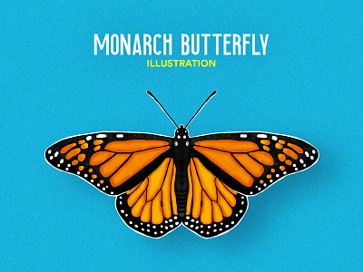 Monarch Butterfly Illustration artist brush butterfly digital art digital painting doodle doodleart illustration monarch monarch butterfly photoshop texture