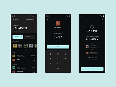Digital Rupee Payment Mobile App
