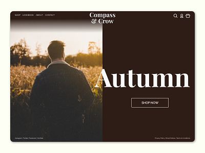 Autumn - Website Concept