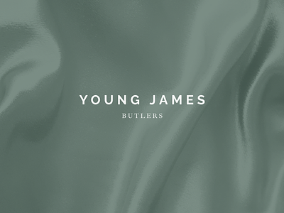 Logo for Young James branding logodesign