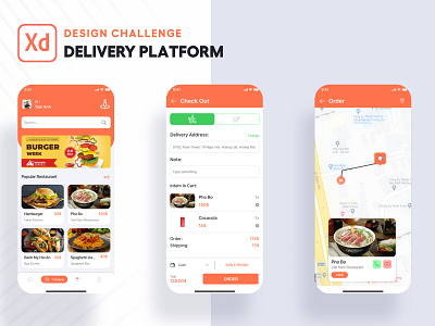 Delivery Platform design illustration ui ux web xd