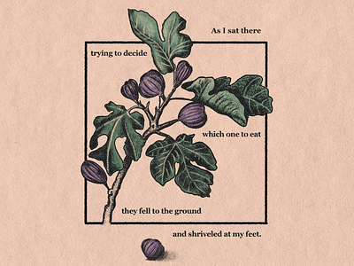 Figs halftone illustration limited palette procreate quote stipple sylvia plath