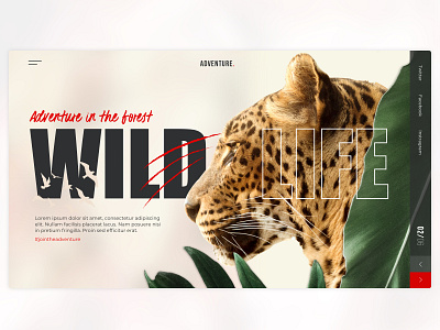 Adventure Website Template adventure design fullscreen sketch theme tiger ui ui design uiux userinterface ux web webdesign website website design wild life wildlife