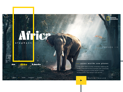 National Geographic Webpage Concept