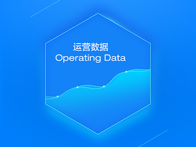 Operating Data