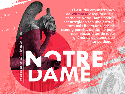 Catedral Notre Dame art design diseño gráfico illustration photography social media socialmediamarketing tipografía typography