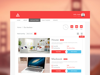Auction List View auction button flat red ui ux
