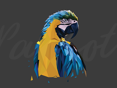 Lowpoly Parrot illustration lowpoly parrot