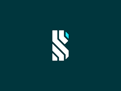 Letter "B" Logo Proposal