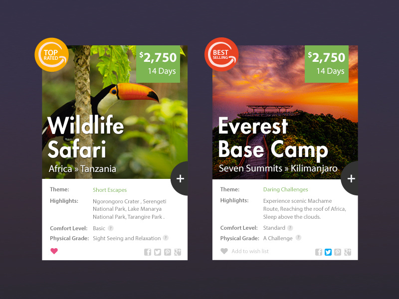 Trip Listing uiux flat listing travel adventure search module list trips