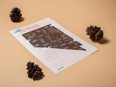 Patagonia - Wild Nevada Poster Styling art direction branding compass flyer graphic design great basin illustration map mountains photography pine cone promotional