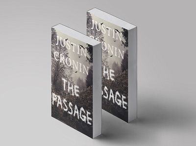 The Passage book cover book cover design design photoshop