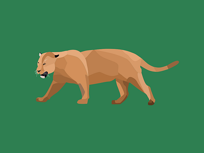 Jaguar animals app design explore flat illustration jaguar jungle rainforest tiger vector