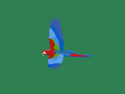 Scarlet Macaw Bird animals app children explore illustration jungle jungle book rainforest vector