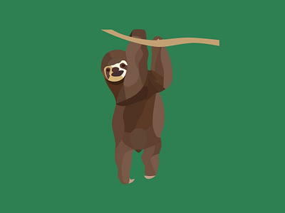 Sloth animals children explore illustration jungle jungle book rainforest sloth vector
