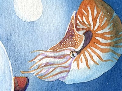 Nautilus Submarine illustration watercolor