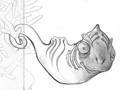 New Friend creature cute sea monster seahorse sketch