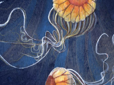 Jellyfish illustration jellyfish painting watercolor