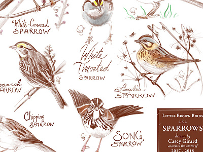 Sparrows Poster