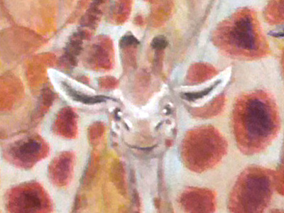 Baby Giraffe childrens book giraffe illustration