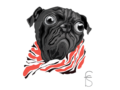 Pug illustration pug scarf