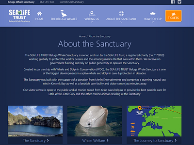 SEALIFE Trust - Beluga Sanctuary design