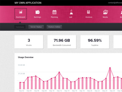Web Application analytics application pink web