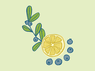 Lemon Blueberry branding design food illustration fruit fruit illustration hand drawn illustration lemon vector
