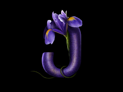 Georgian Letter ე-E alphabet art colors design designinspiration drebbblepopular dribbble dribbbler dribbbleshot floral georgia graphic design graphicdesign illustration lettering letters procreate purple typography