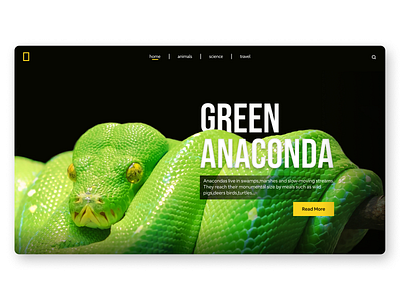 National Geography Webdesign anaconda animal clean desktop desktop design minimalism national geographic nature popular snake snakes trend ui ui design uidesign uiux user interface userinterface ux uxdesign