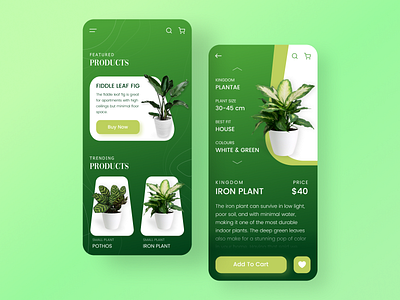 Plant Exploring App Design app app concept app design app ui application exploring green plant plants playful uidesign uxdesign
