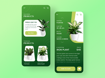 Plant Exploring App Design