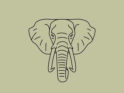 African Elephant africa animal beast big 5 big animal elephant safari strong wildlife