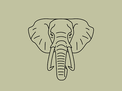 African Elephant