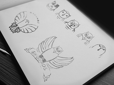 Sketches owls animal bird design logo owl owls sketches