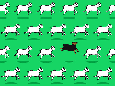 White sheep can't jump farm jump sheep