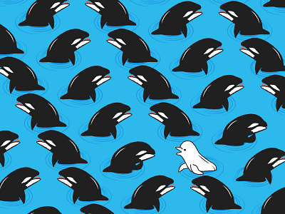 Orca meets Beluga arctic beluga chitchat dolphins northpole ocean pattern whale