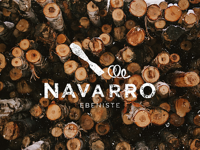 Navarro logo logo navarro