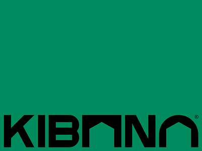Kibana brand branding concept design identity logo logotype new type typography