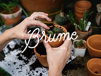 Brume logo logotype plants shop