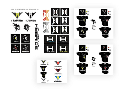 #TBT NWI Hybrid Pro Softball Team Logo Design art direction brand design design identity logo logo design