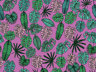 Tropical Monstera