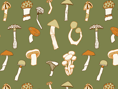 North American Fungi design drawing fungi illustration mushroom repeating pattern seamless pattern vector