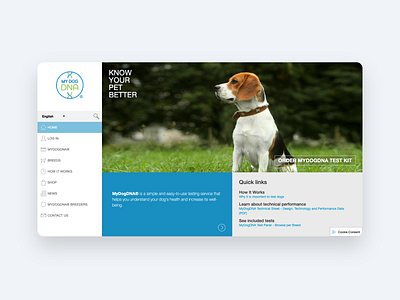My Dog DNA ux web webdesign