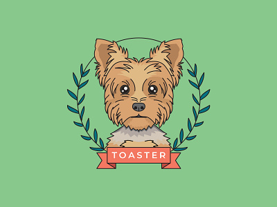 Portrait of a Yorkie