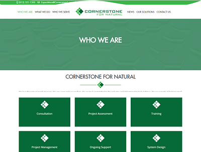 Cornerstone For Natural design ux web webdesign website design wordpress wordpress theme