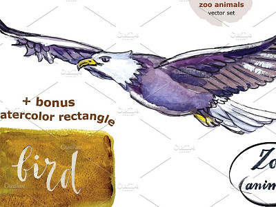 Bird animals bird camel giraffe hippopotamus illustration lion set tiger vector watercolor zoo