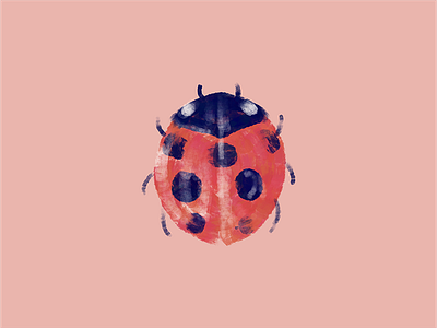 Ladybug Shape Experiment adobe fresco find your style illustration style ipad artist ladybug shape