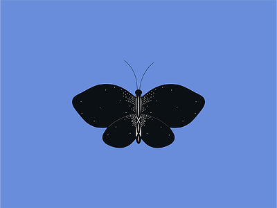 Butterfly Value Experiment black work butterfly contrast drawing experiment find your style geometric symmetrical value