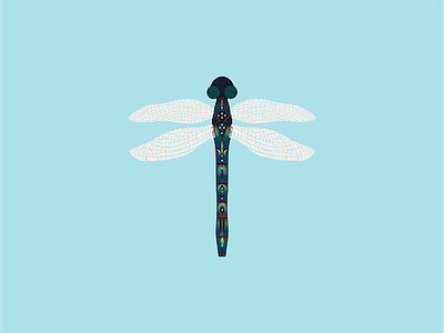 Dragonfly Exploring Color